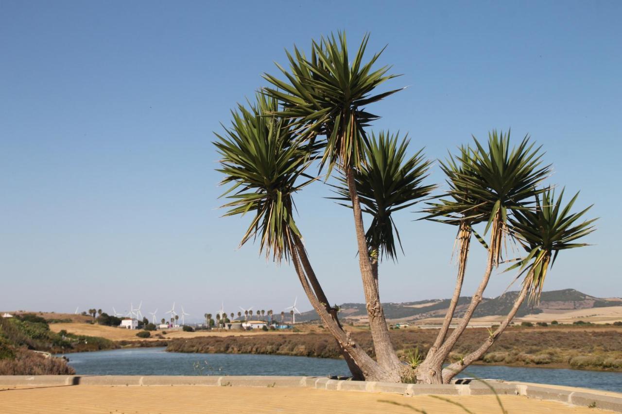 Apartamento Duplex En Conil Conil De La Frontera Buitenkant foto